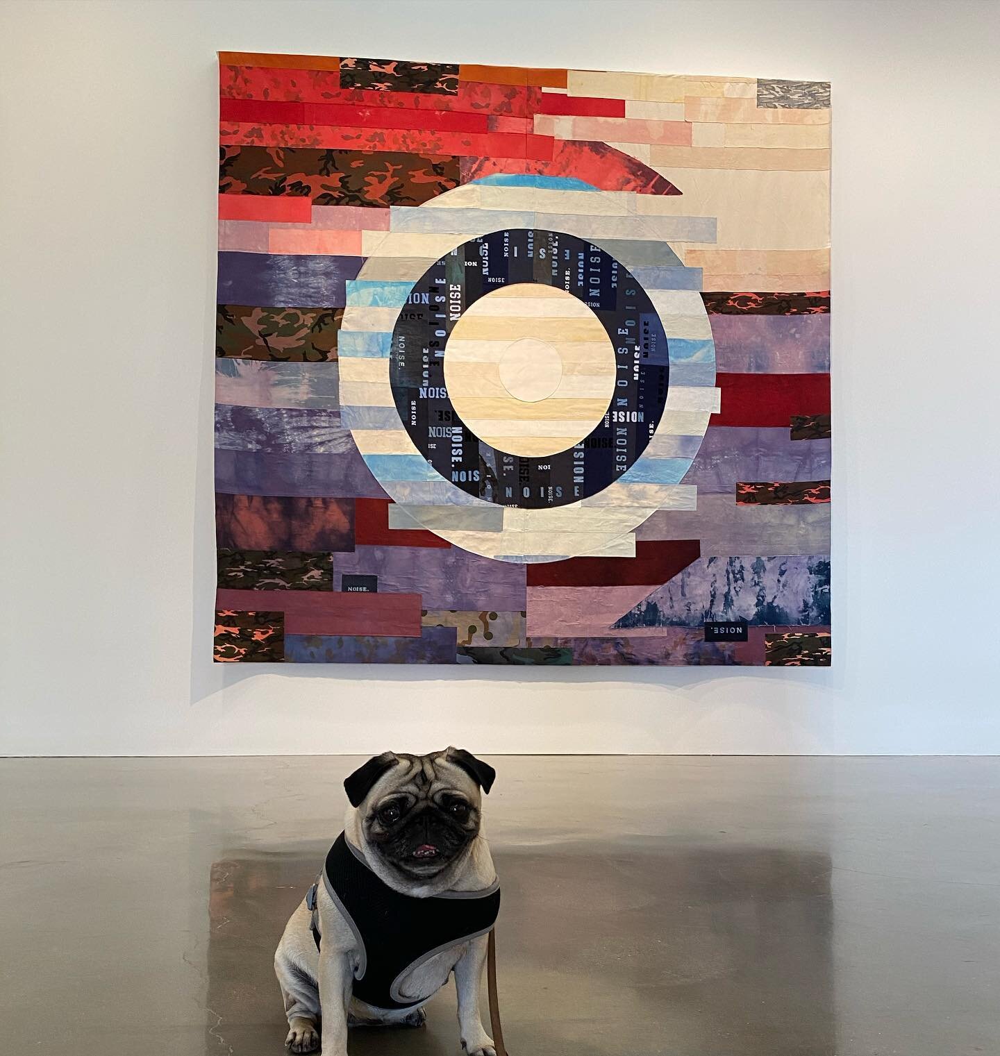 Marlowe gives @dougaitkenworkshop &ldquo;Flags and Debris&rdquo; 2 OUT OF 4 PAWS: like the artist, the work is handsome, facile and referential to art stars (in this case Jasper John&rsquo;s). Well crafted, easy to look at and helped by the talents o